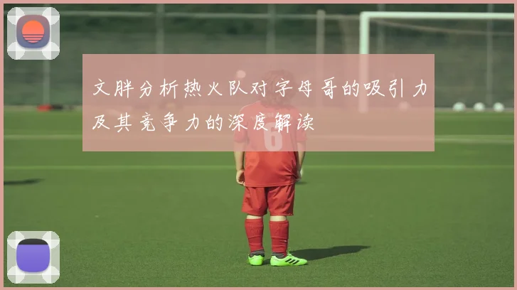 文胖分析热火队对字母哥的吸引力及其竞争力的深度解读