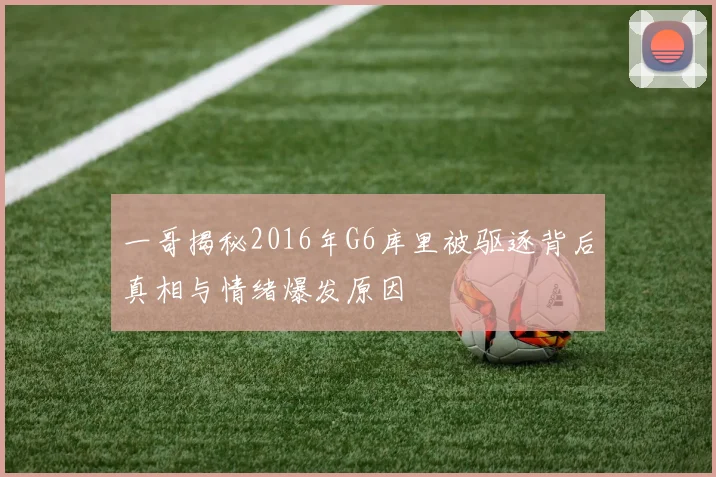 一哥揭秘2016年G6库里被驱逐背后真相与情绪爆发原因