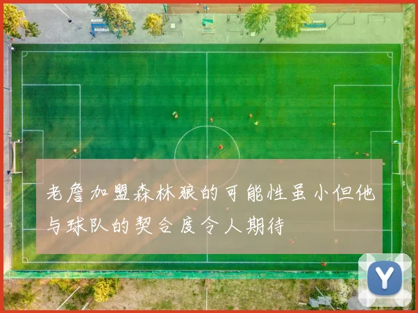老詹加盟森林狼的可能性虽小但他与球队的契合度令人期待
