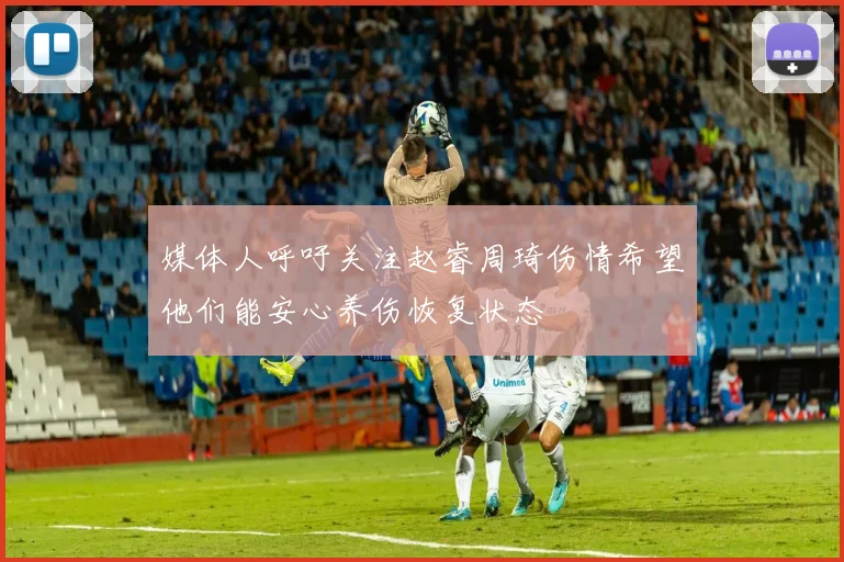 媒体人呼吁关注赵睿周琦伤情希望他们能安心养伤恢复状态