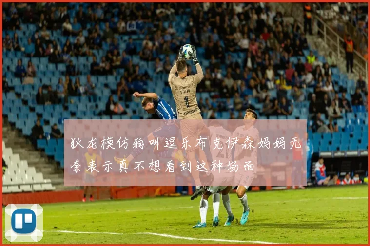 狄龙模仿狗叫逗乐布克伊森妈妈无奈表示真不想看到这种场面