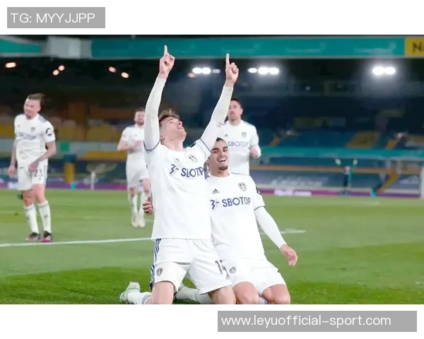 利兹联球迷两度向热刺球员投掷物品或将遭遇高额罚款